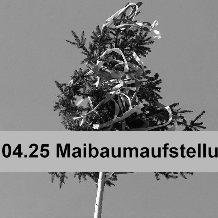 Maibaumaufstellung BdS
