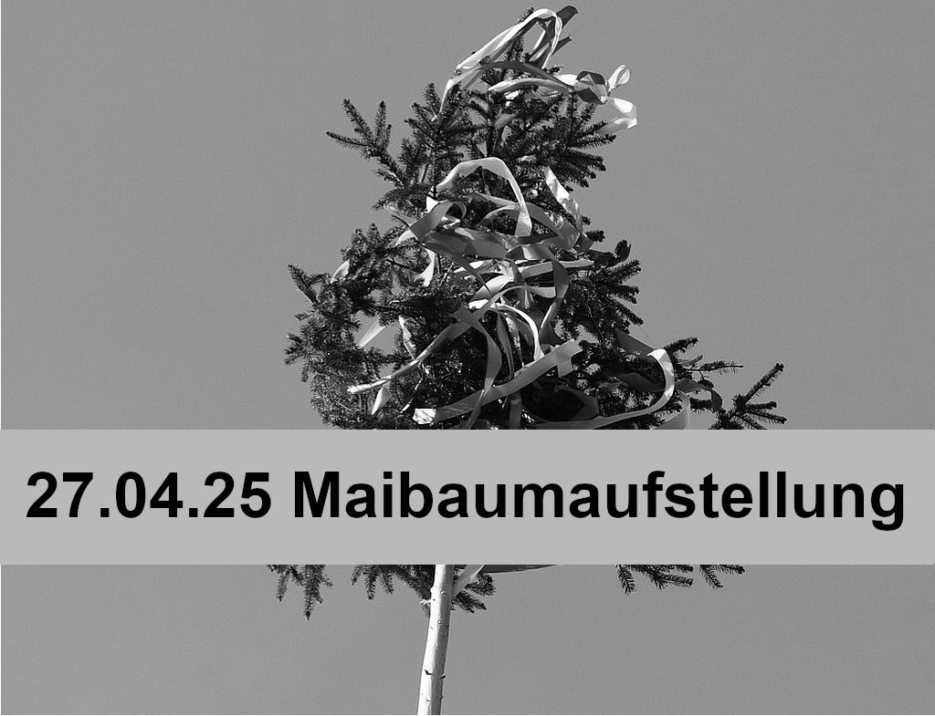 Maibaumaufstellung BdS