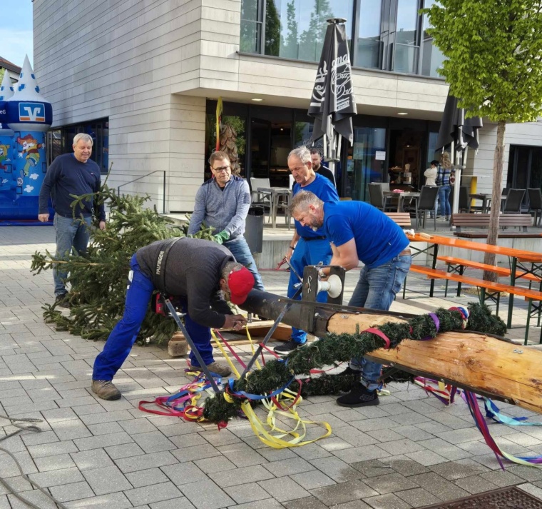 Maibaumaufstellung