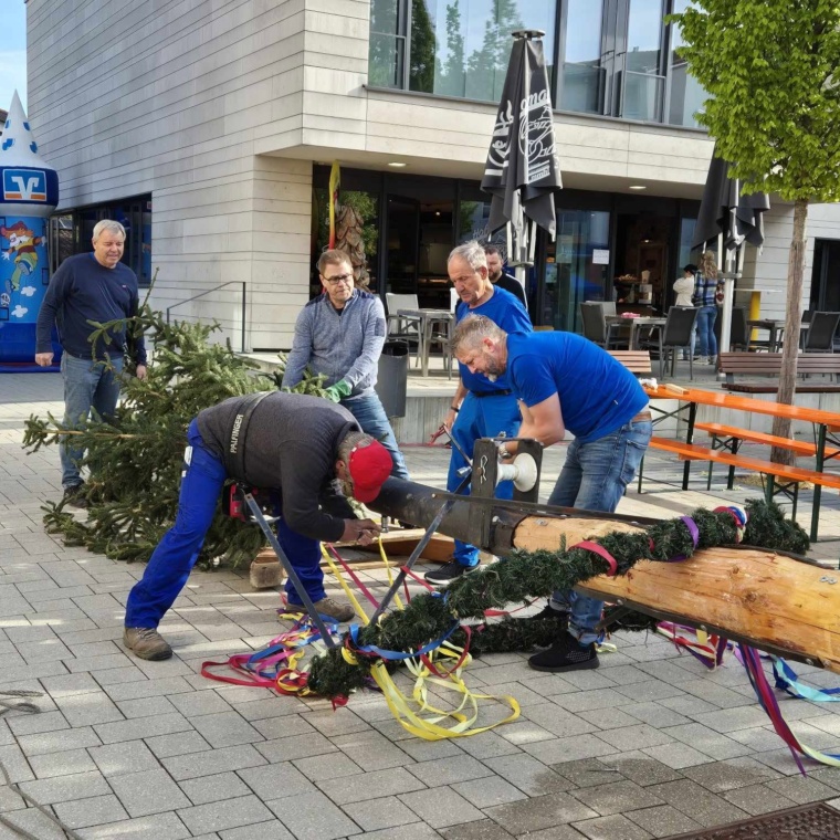 Frank Wohlfahrt bei der Maibaumaufstellung